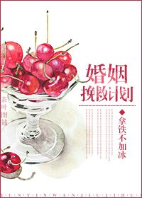 婚姻挽救計劃