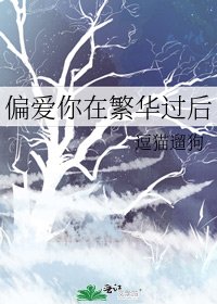 偏愛你在繁華過後