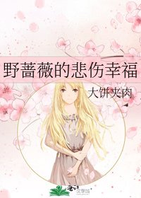 掖薔薇的悲傷幸福