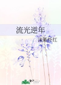 流光逆年