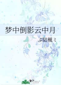 夢中倒影雲中月