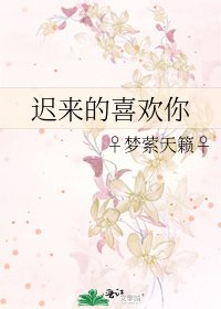 遲來的喜歡你