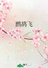鷓鴣飛