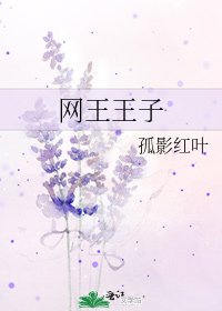 網王王子