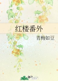 紅樓番外