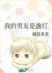 我的男友是盞燈