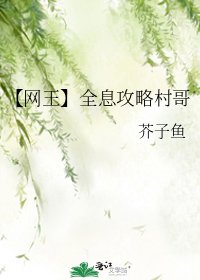 【網王】全息攻略村哥