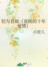 但為君故(袁朗的十年愛情)