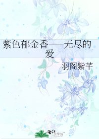 紫色鬱金香——無盡的愛