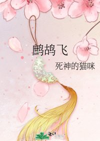 鷓鴣飛