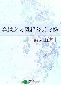 穿越之大風起兮雲飛揚