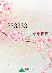 333333