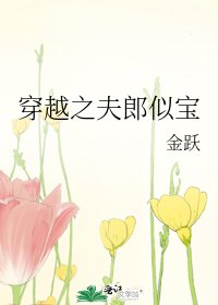 穿越之夫郎似寶