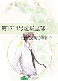 第1314號垃圾星球