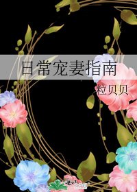 婿常寵妻指南