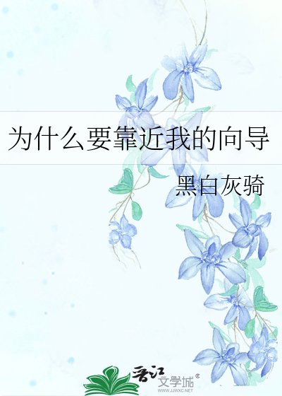 為什麼要靠近我的嚮導