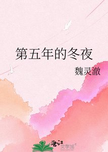 第五年的冬夜