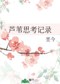 蘆葦思考記錄