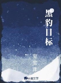 黑豹目標