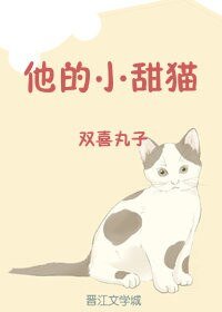 他的小甜貓