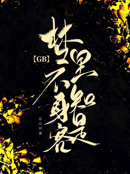 夢裡不知身是客GB