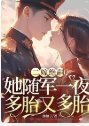二嫁絕嗣?她隨軍一夜多胎又多胎