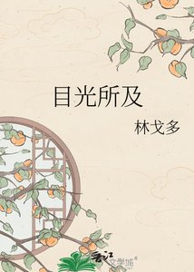 目光所及