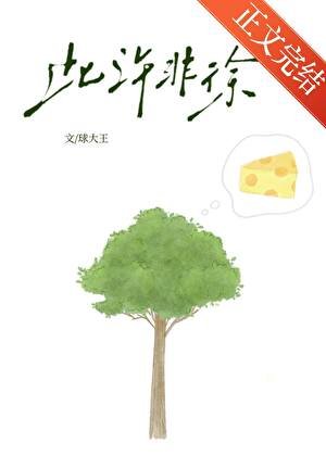 此許非徐