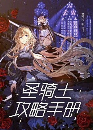 聖騎士汞略手冊
