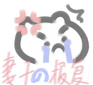 妻子的報復
