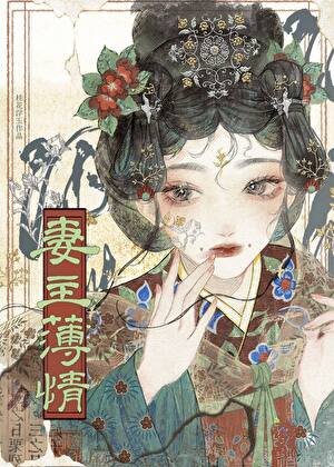 妻主薄情(女尊)