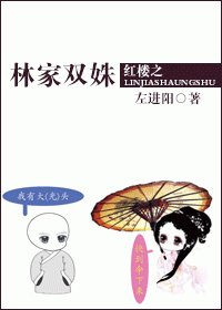 【鸿樓夢同人BG】鸿樓之林家雙姝