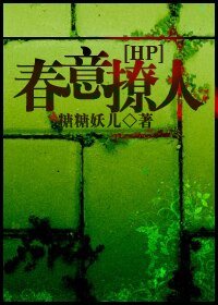 【HP同人BL】HP之费意撩人